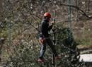 Parc d'aventure Fontainemore