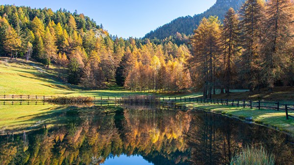 "Lago La Palud" game fishery