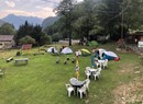 Camping Mongenet