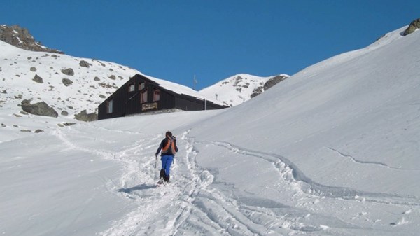 Grand Tournalin