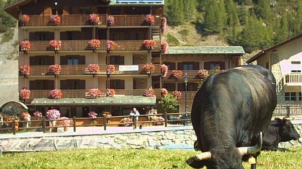 Hotel Vallée de Cogne