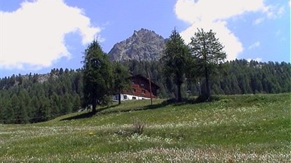 Crest Alpine Lodge & SPA
