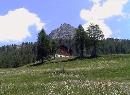 Crest Alpine Lodge & SPA