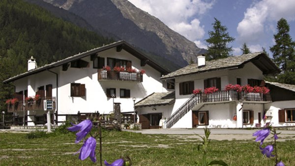 Grivola