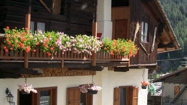 Le Vieux Rascard