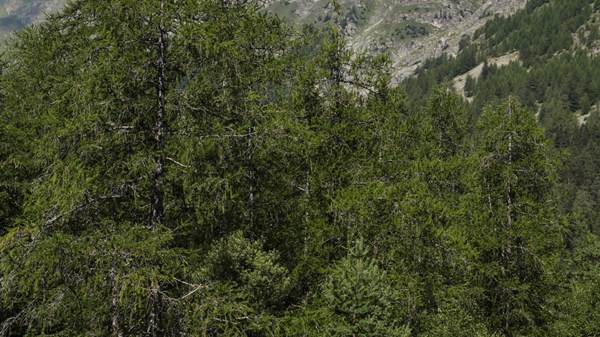 Area attrezzata camper - Lexert