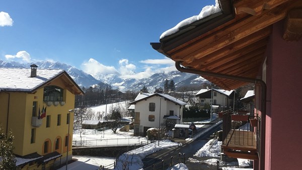 Gli elfi