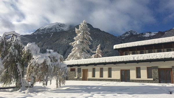 Halldis Gressoney