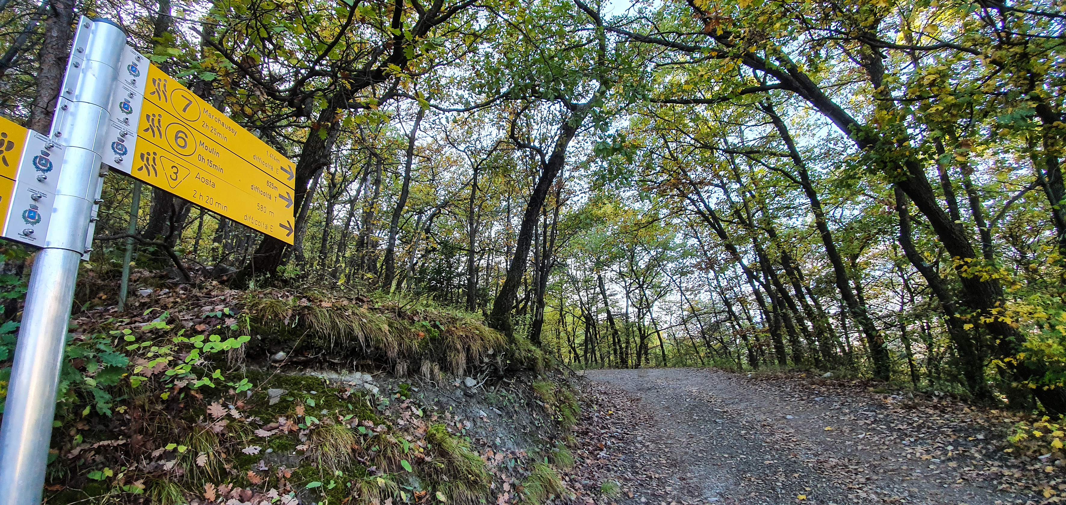 Sentier dans le bois