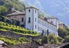 Château Valleise in Arnad