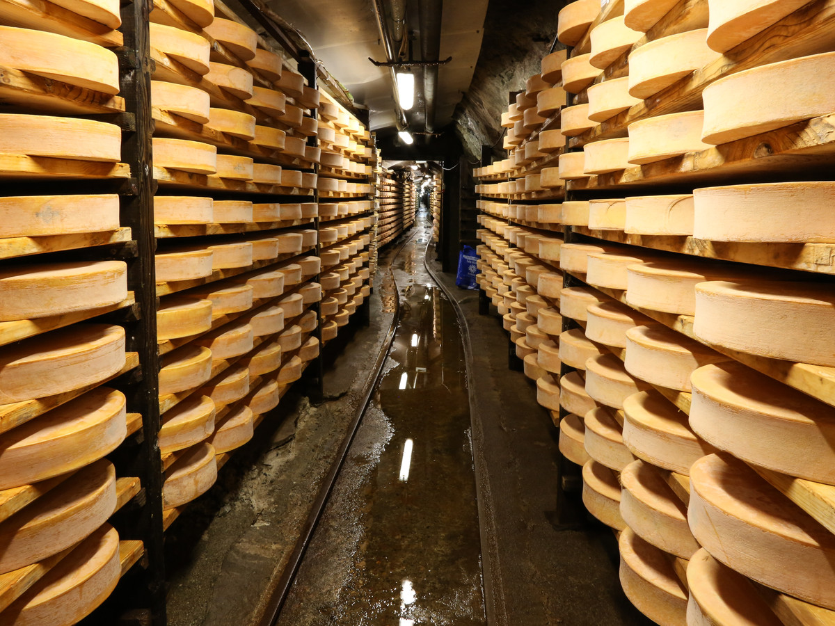 Fontina cheese