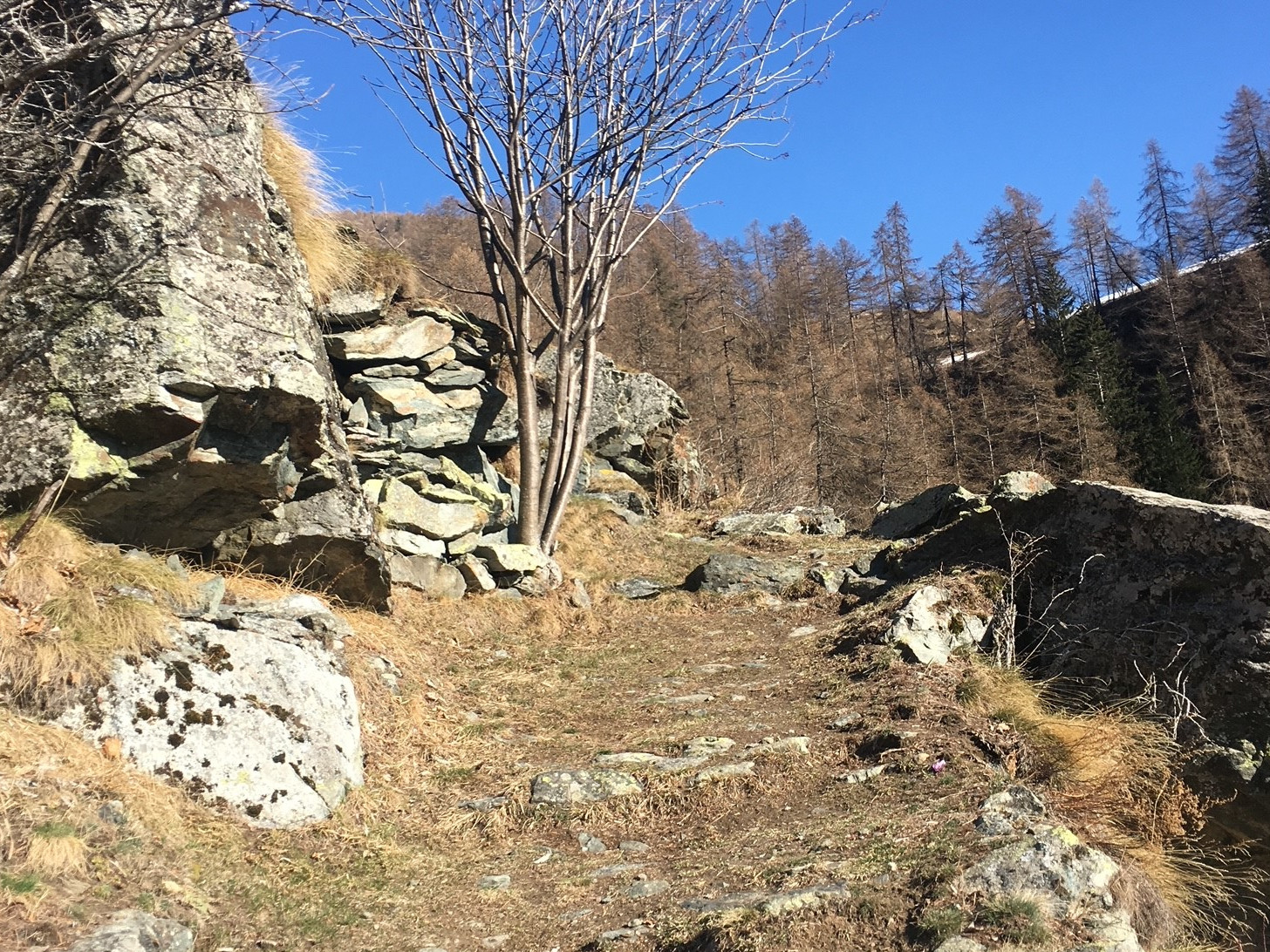 Sentier vers Chamois