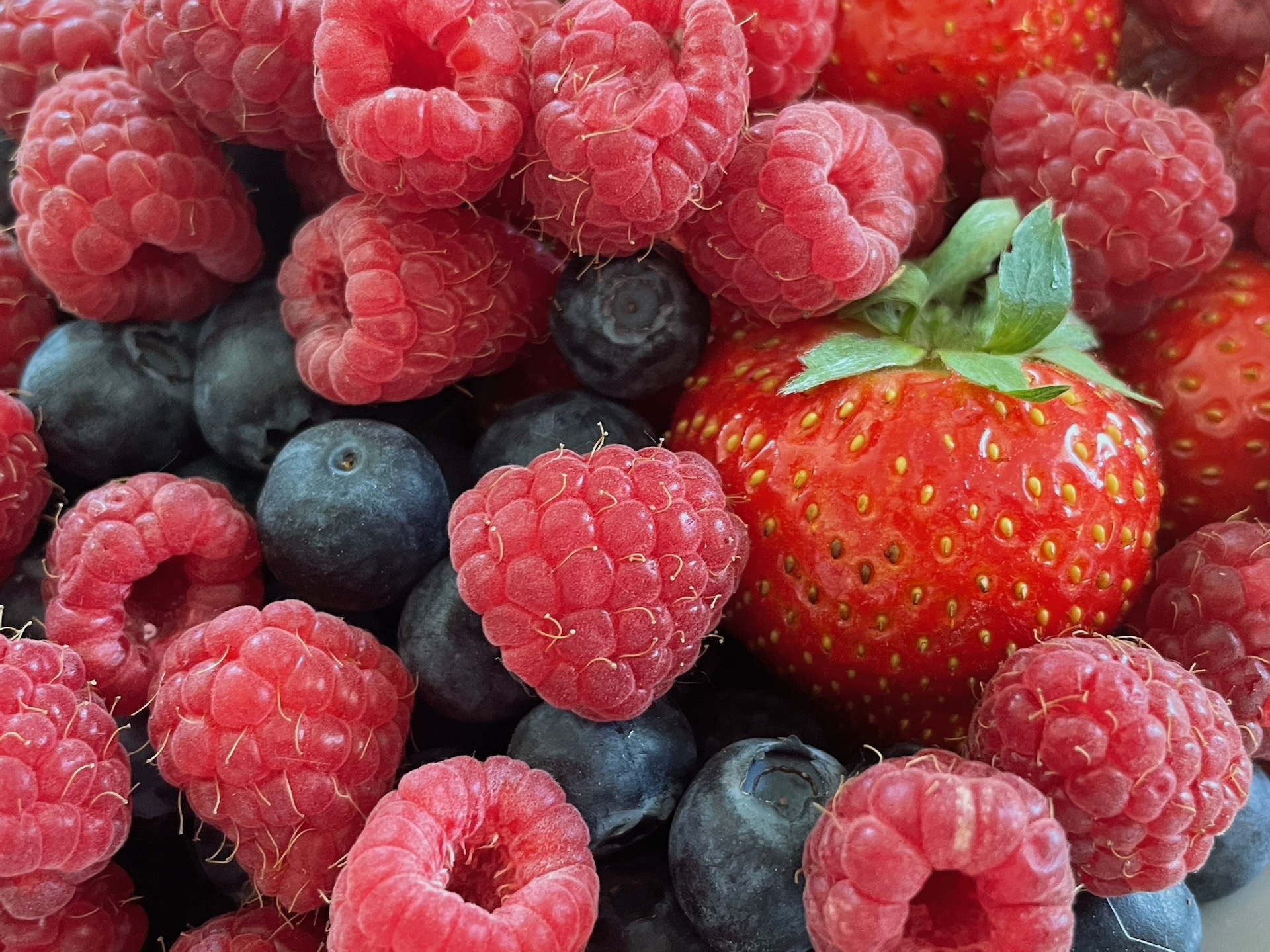 Festa dei piccoli frutti
