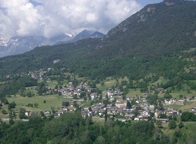 En marchant dans le bois