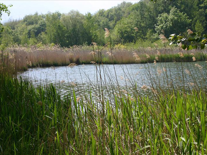 Lago di Villa -  Challand-Saint-Victor
