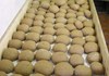 Festa del pane nero a Perloz