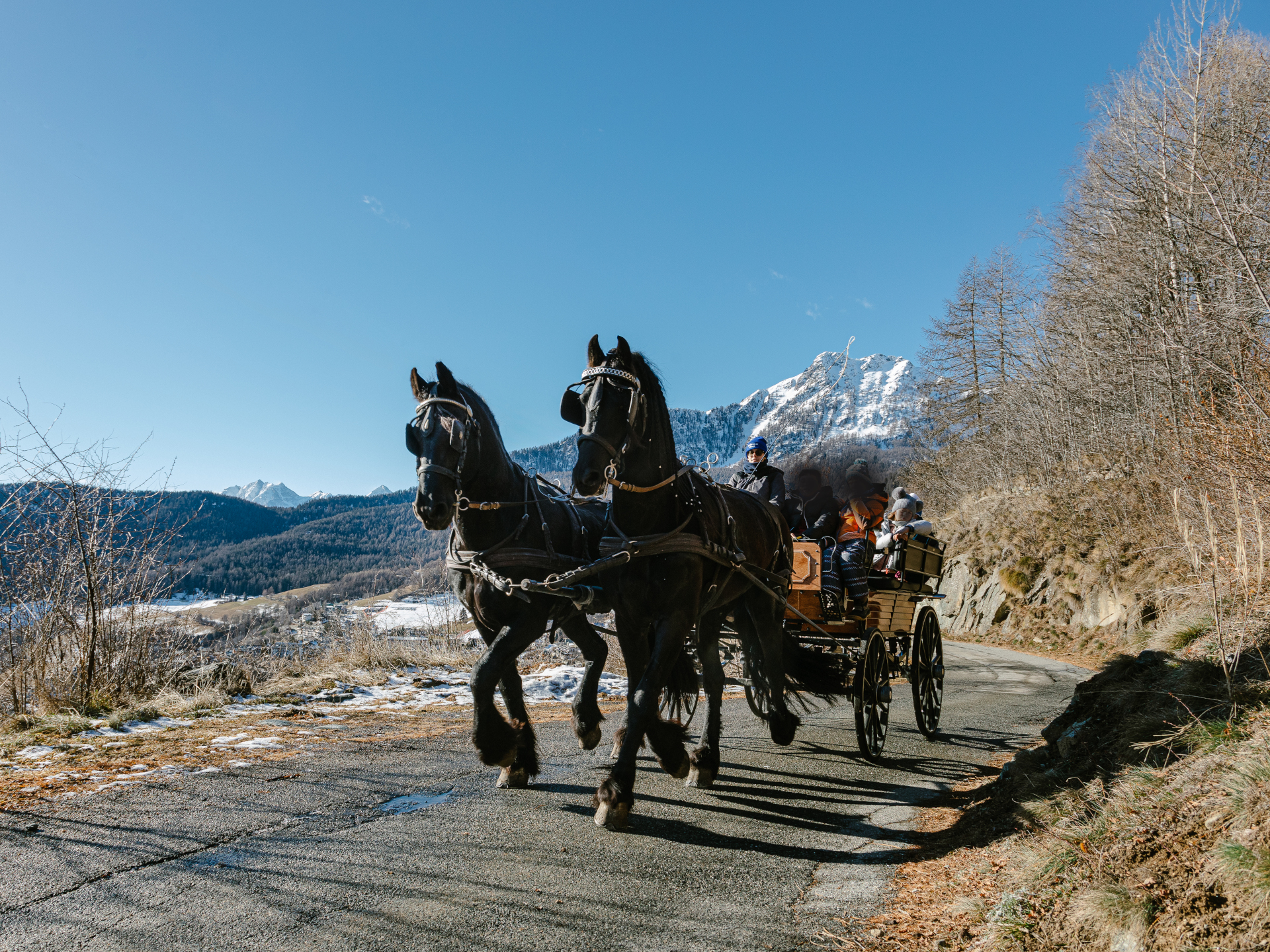 Passeggiate in carrozza
