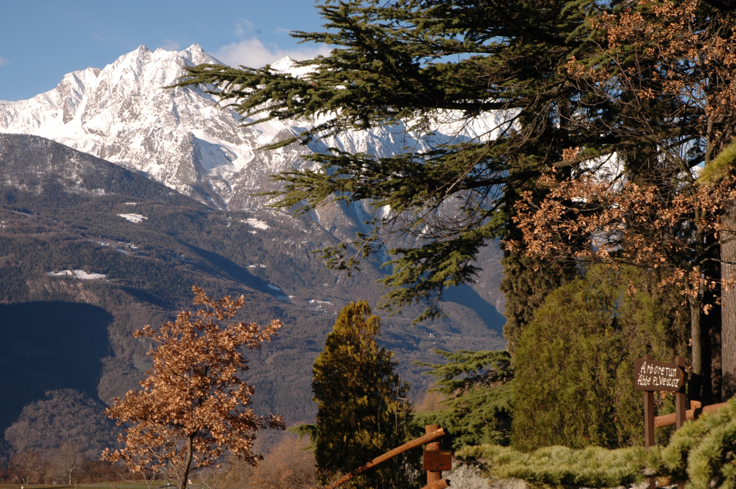 Arboretum "Abbé Vescoz" a Verrayes