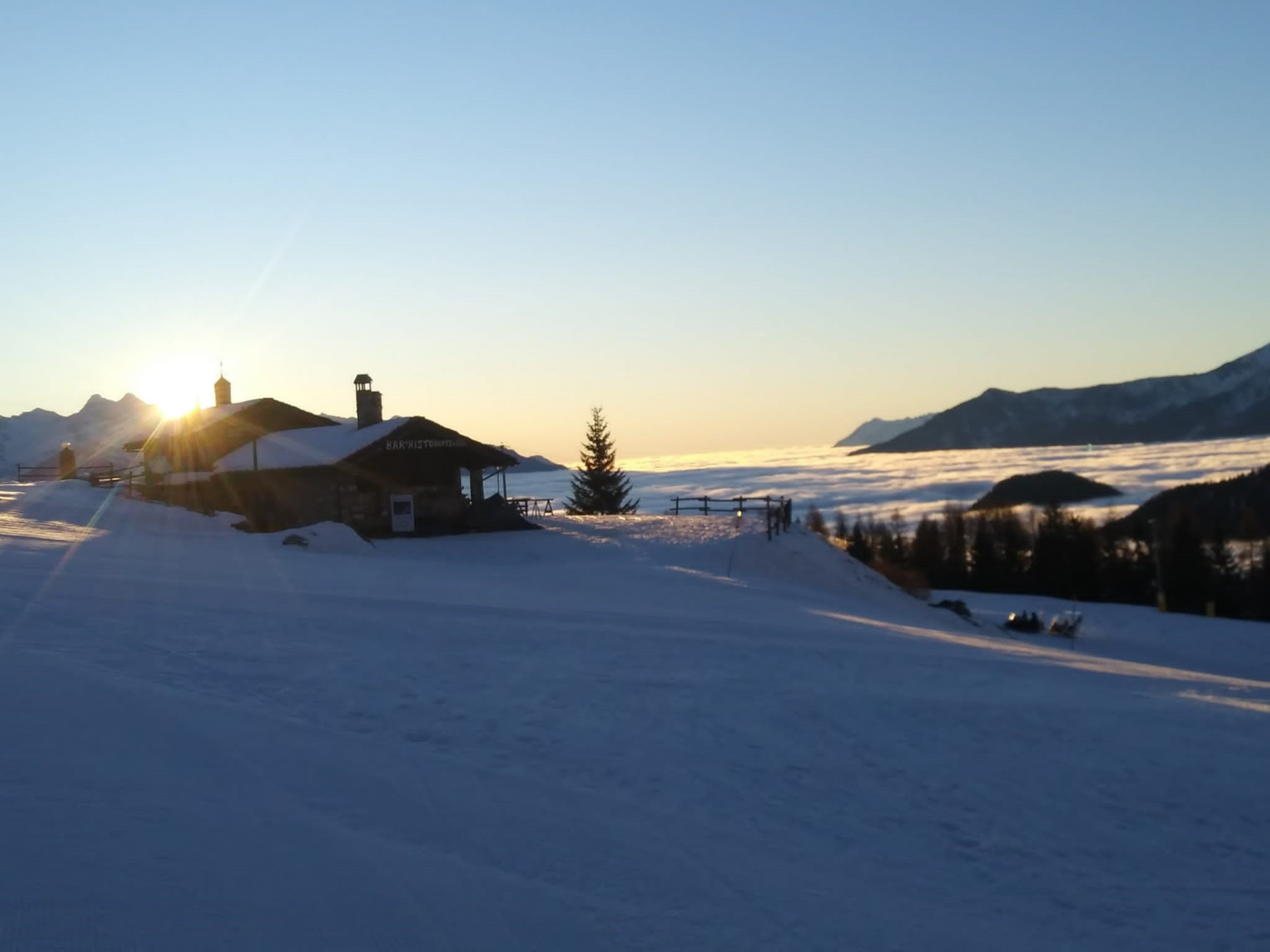 Des Troncs en hiver