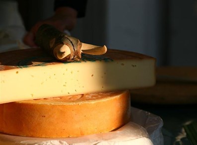 Fontina de pastura
