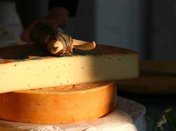 Fontina de pastura