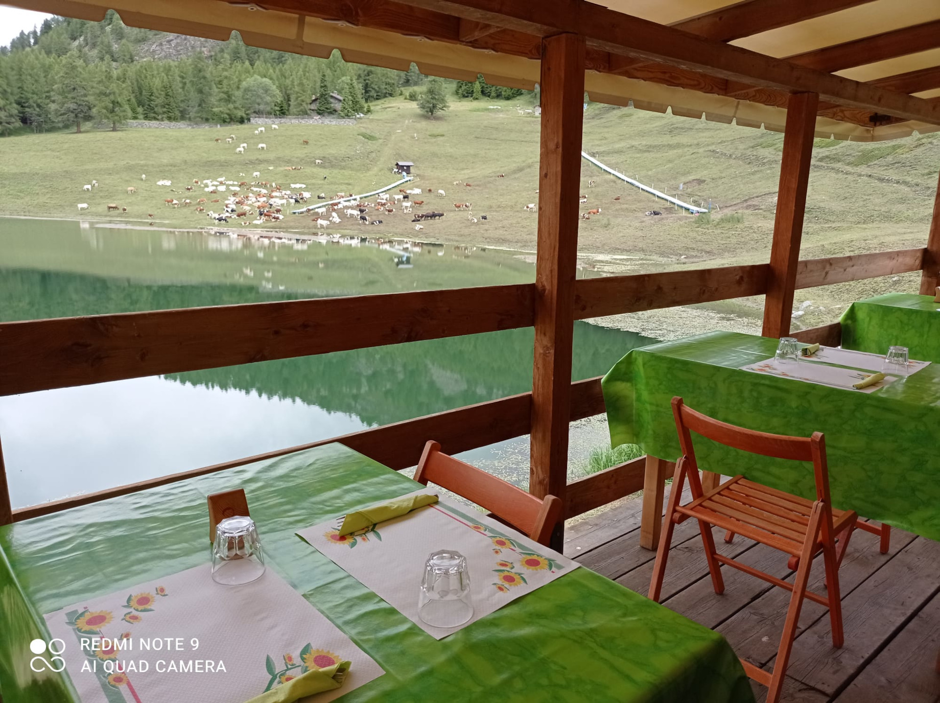 Terrace on the lake
