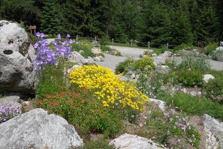 Floraison
