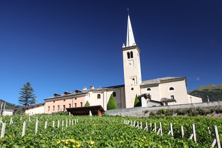 Parmi les vignobles