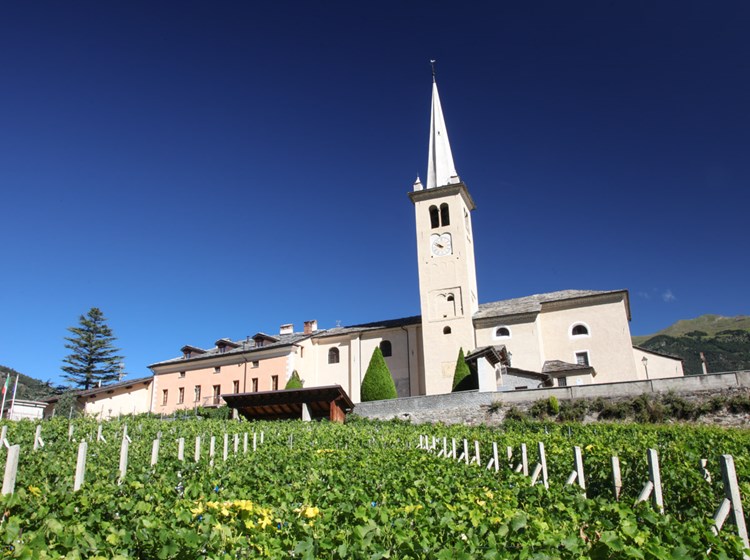 Unter den Weinbergen