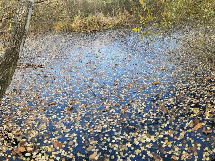 Holey - Pont-Saint-Martin