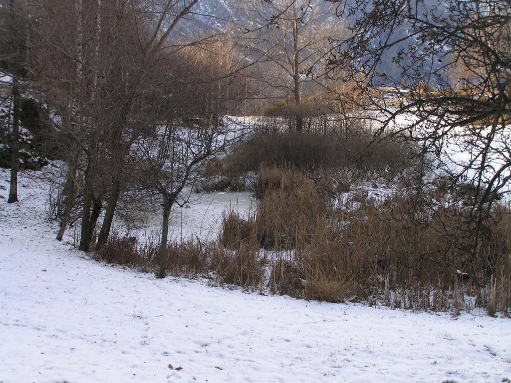 Riserva naturale Stagno di Holey - Pont-St-Martin