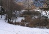 Riserva naturale Stagno di Holey - Pont-St-Martin