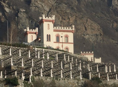 Vignobles au-dessous du château