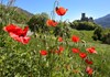 In spring