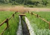 Riserva naturale Lago di Lozon - Verrayes