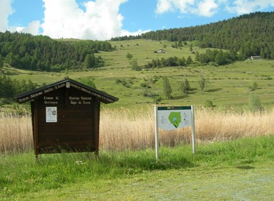 Riserva naturale Lago di Lozon - Verrayes