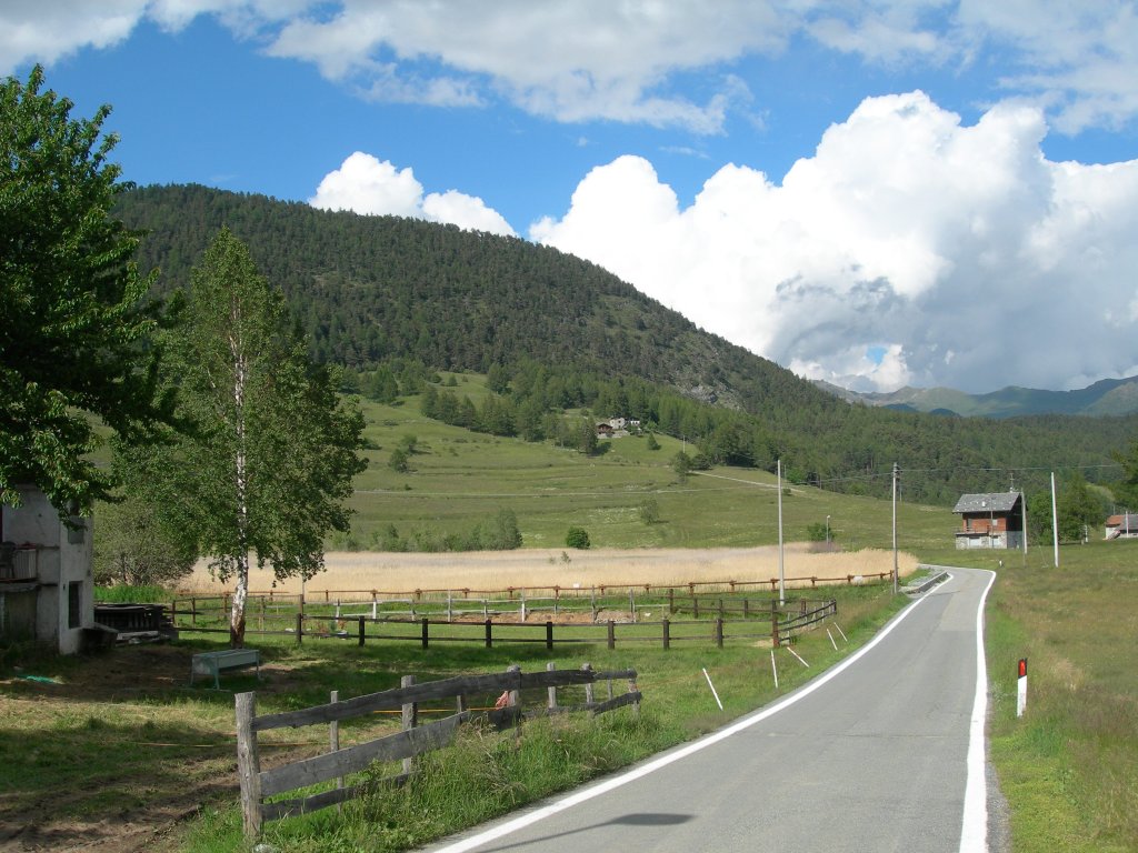 In the summer