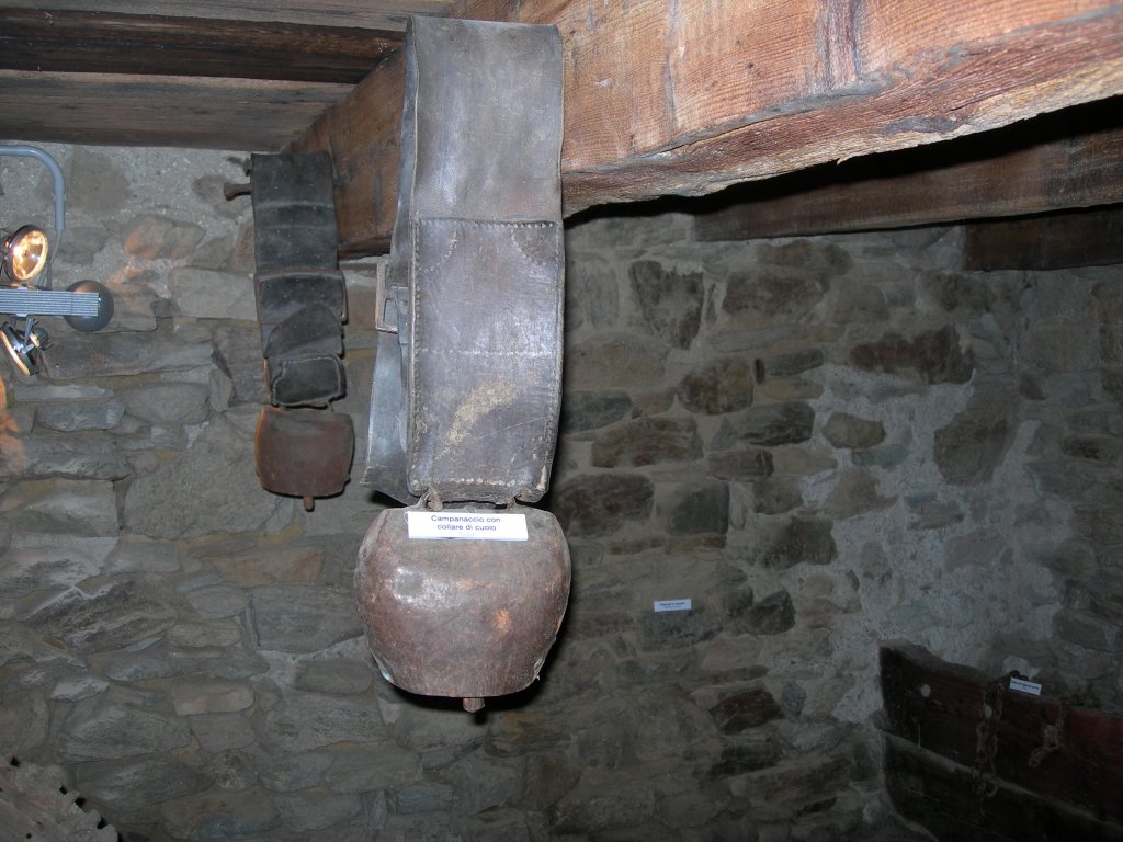 Cloche