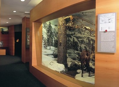 Exhibition hall