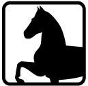 Reiten