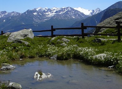 Petit lac