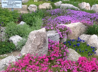 Floraison