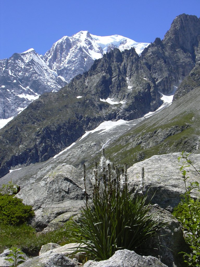 Mont Blanc