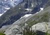 Mont-Blanc