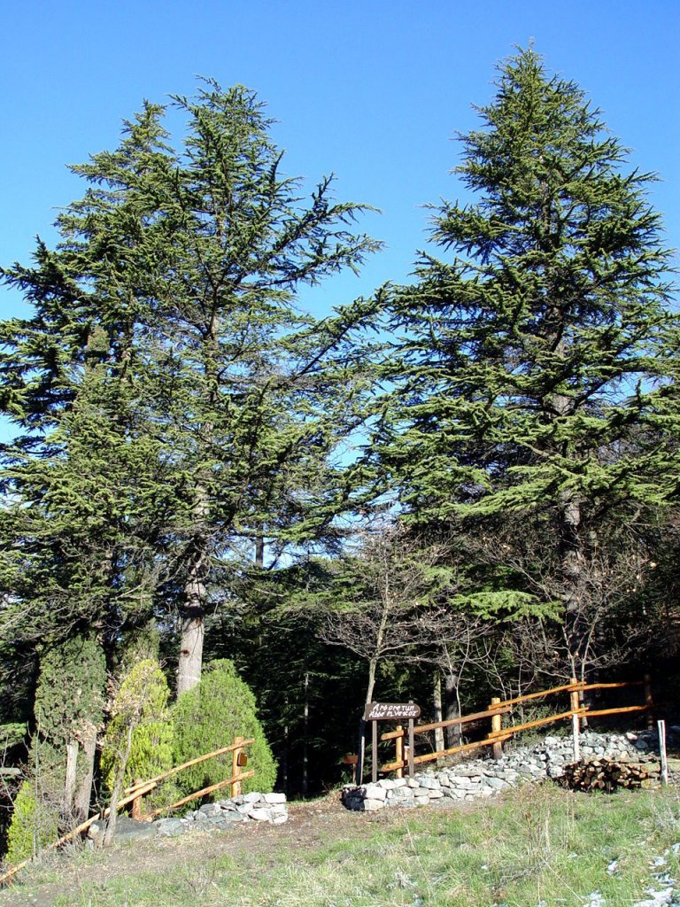 En été