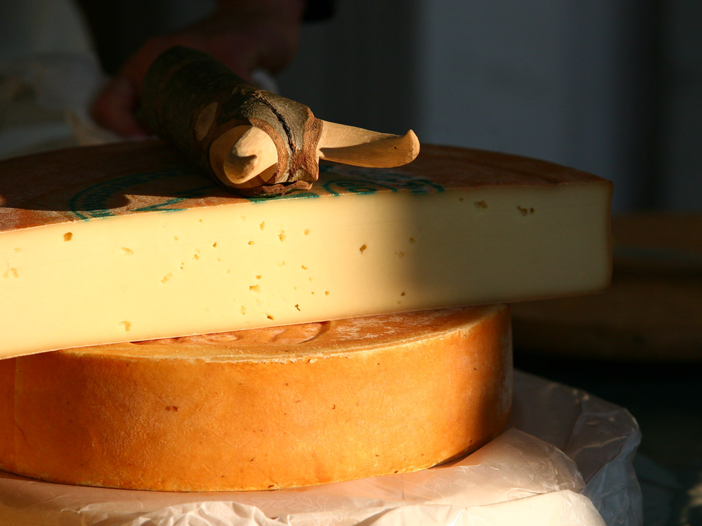 Forma di Fontina