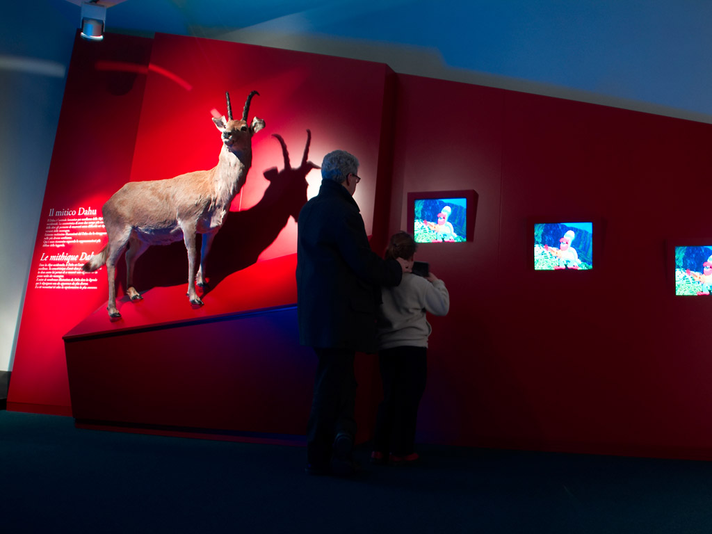 Museo de los Alpes