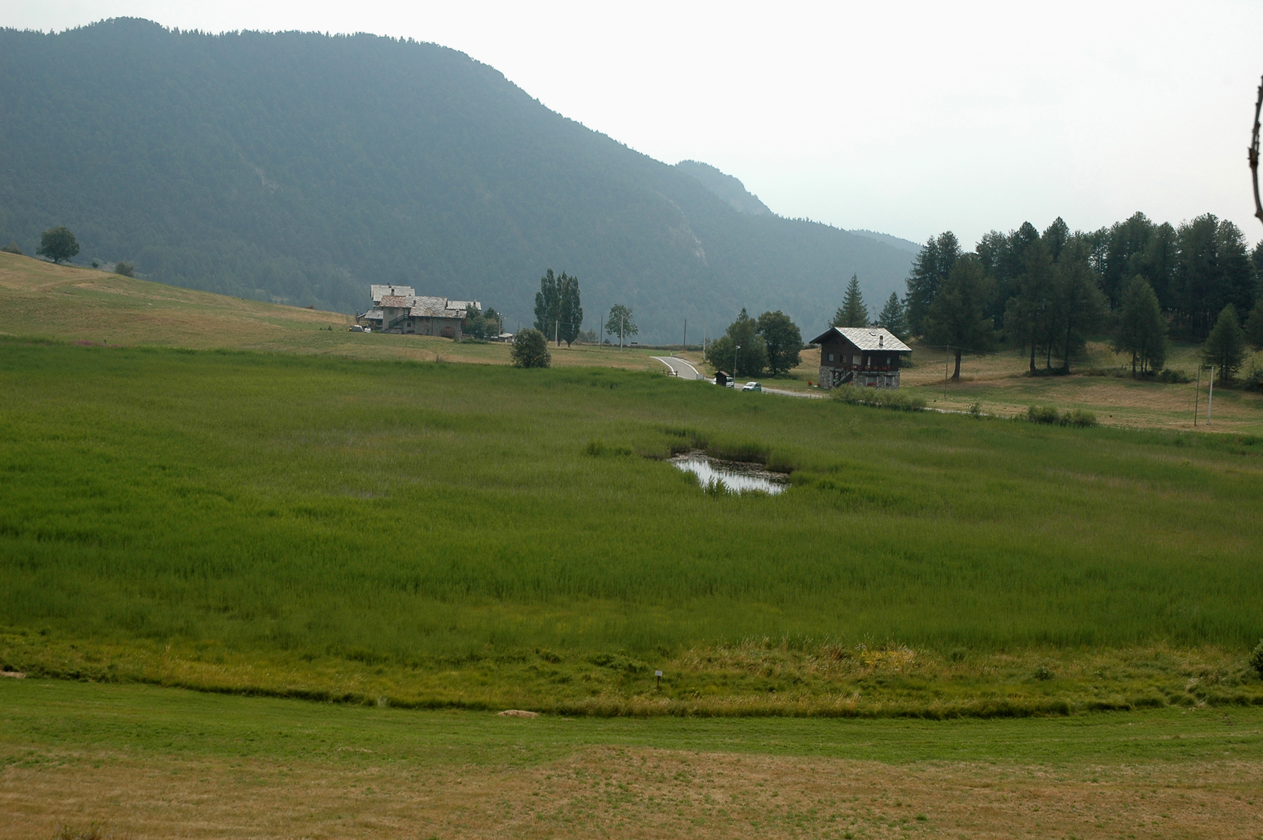 Overview