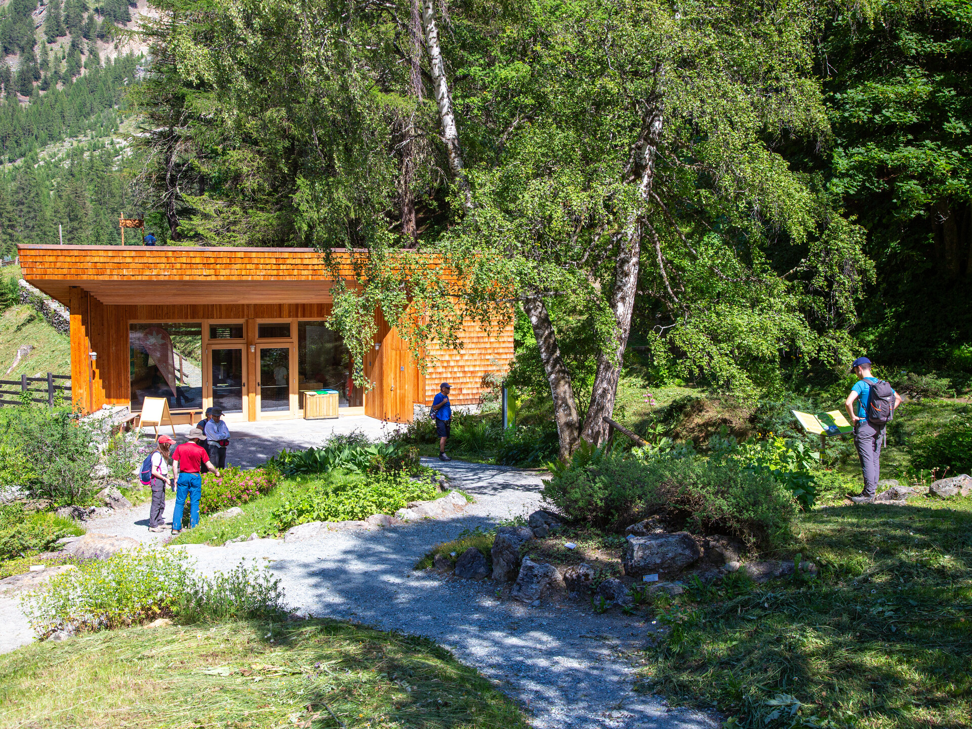 Paradisia alpine botanical Garden