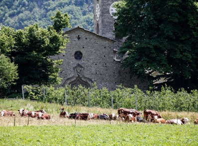 The church which hosts the museum